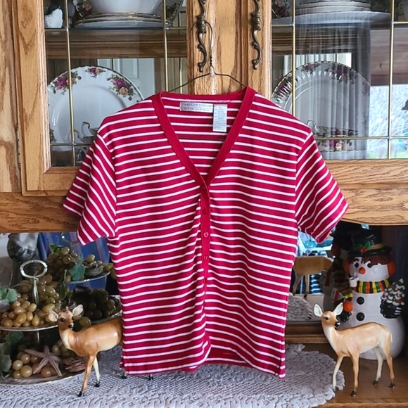 Carolyn Taylor Tops - CAROLYN TAYLOR BLOUSE~NWOT